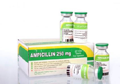 موارد مصرف داروی آمپی سیلین