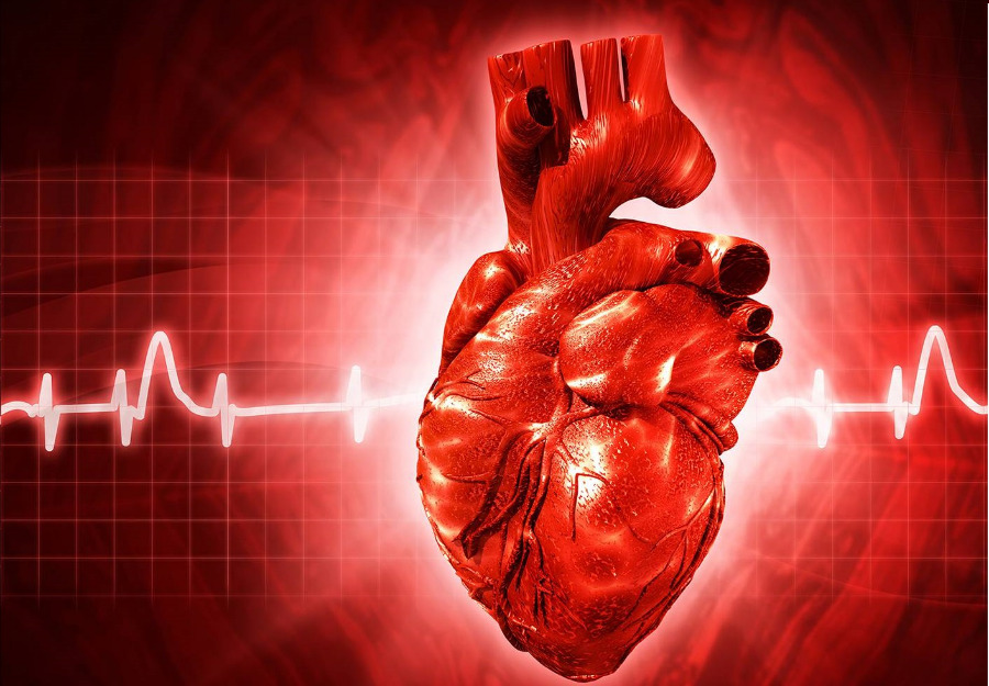روش های درمان آریتمی قلبی دارو تهاجمی تغییر شیوه زندگی