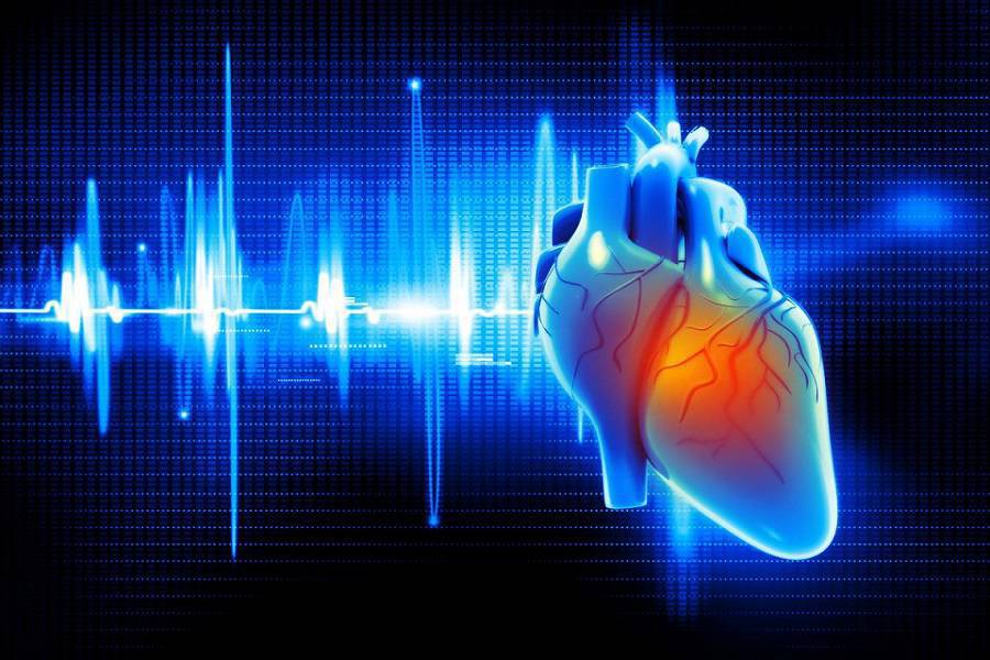  تست های الکتروفیزیولوژیک قلب چیستند؟