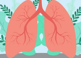 راهکارهای پاکسازی ریه برای تنفس بهتر