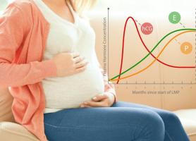 آنچه باید در مورد آزمایش‌ بارداری HCG بدانیم