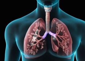 علل علائم تشخیص عوارض و درمان آسم