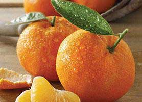 خواص و عوارض نارنگی